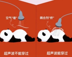 大禹电子：为什么接触式超声探头离不开那层“小黏糊”？