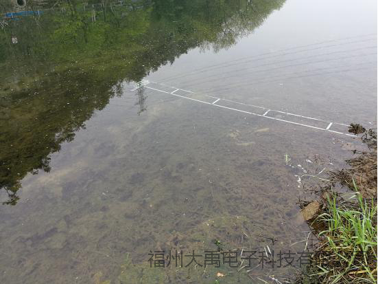 160281106632251.png