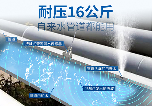 水听器 水听器