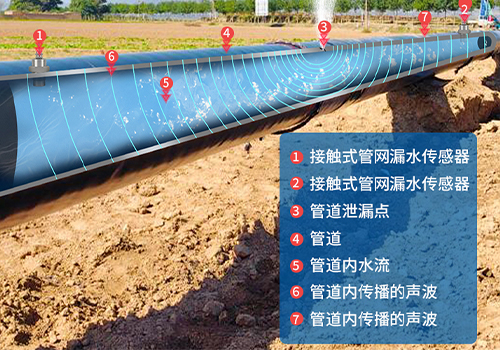水听器 水听器