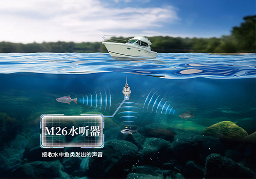 水听器